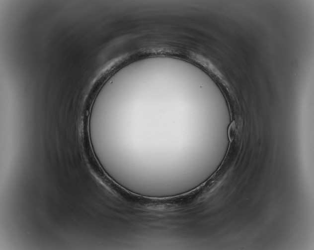 X0000086230629200704191800