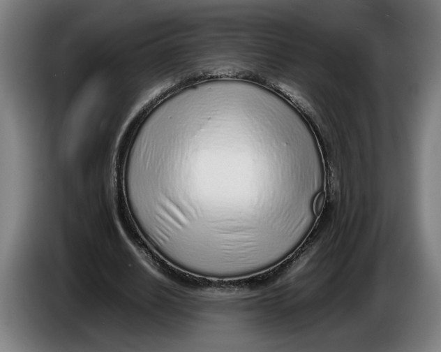 X0000086230630200704191800