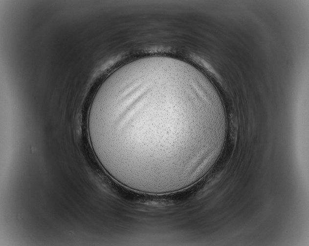 X0000086230631200704191800