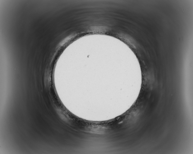 X0000086230632200704191800