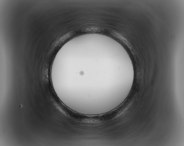 X0000086230633200704191800