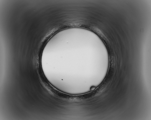 X0000086230634200704191800