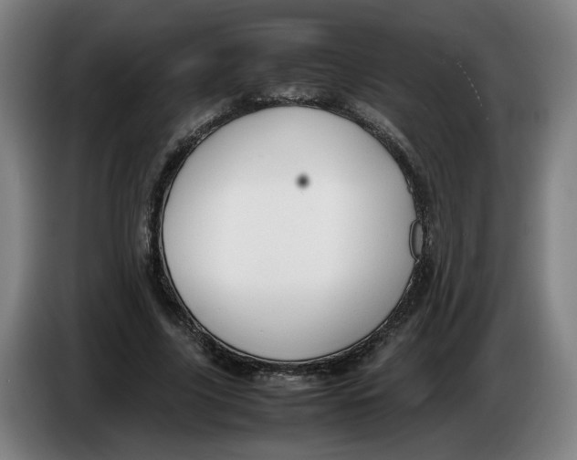 X0000086230635200704191800