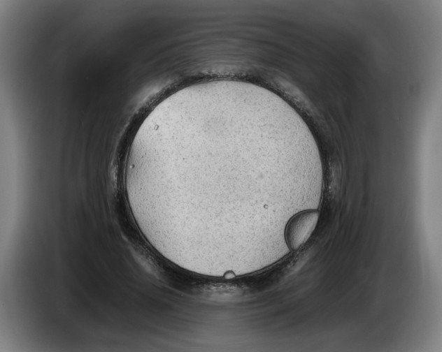 X0000086230636200704191800