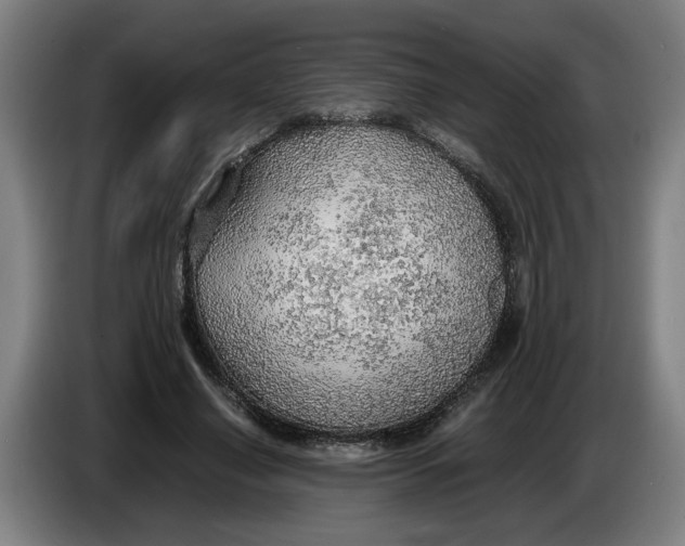 X0000086230638200704191800