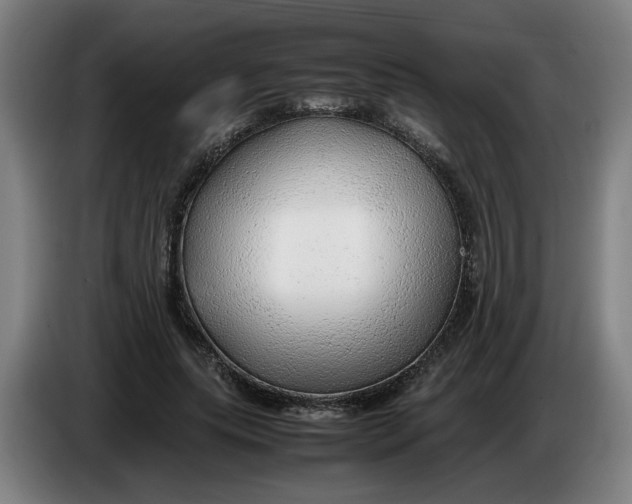 X0000086230639200704191800