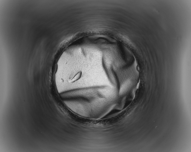 X0000086230640200704191800