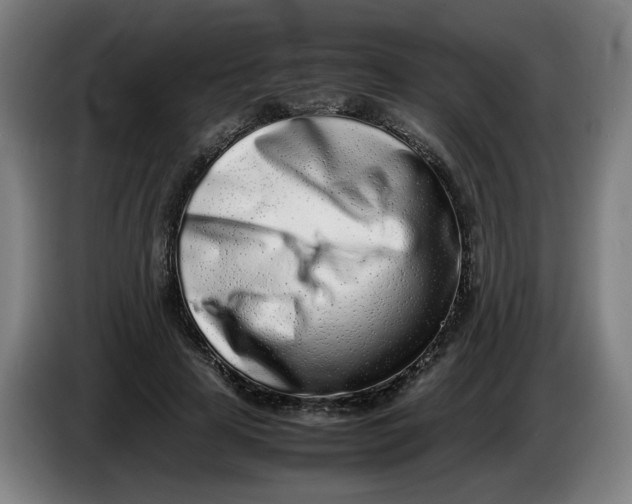 X0000086230641200704191800