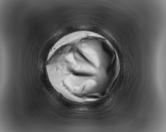 X0000086230643200704191800