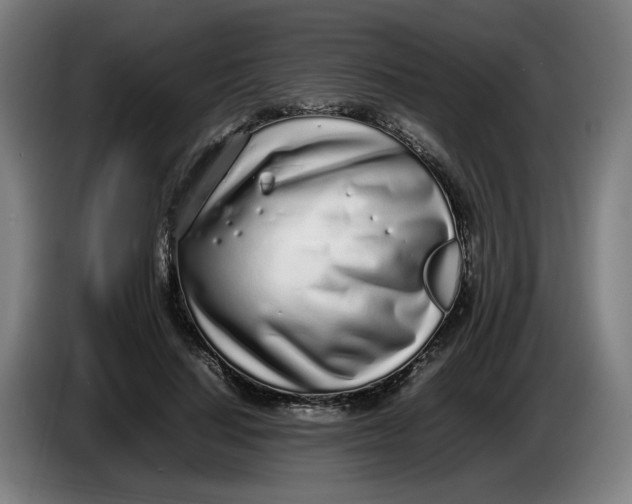 X0000086230644200704191800