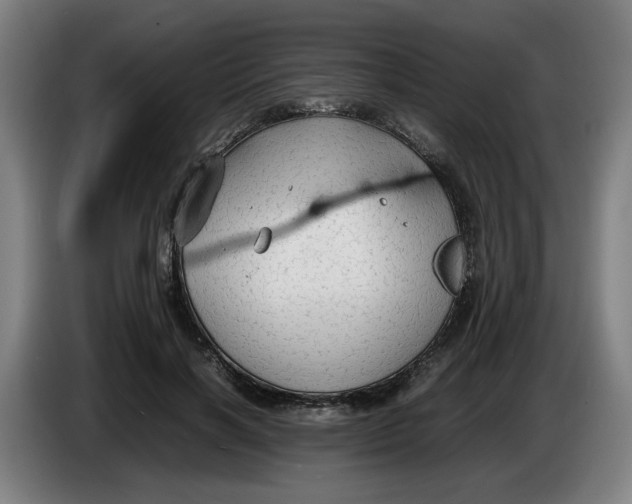 X0000086230646200704191800