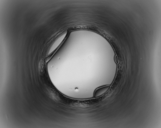 X0000086230648200704191800