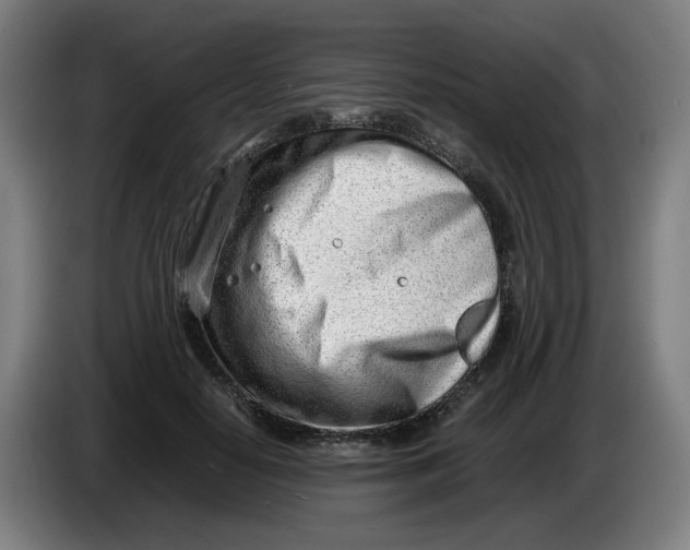 X0000086230650200704191800