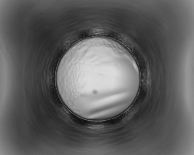 X0000086230653200704191800