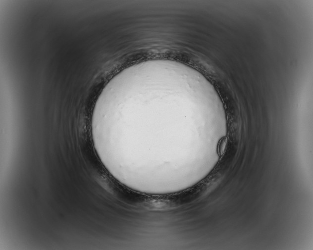 X0000086230654200704191801