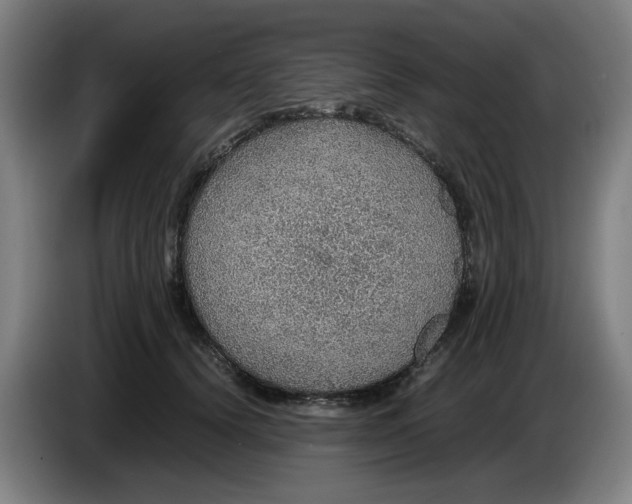 X0000086230656200704191801