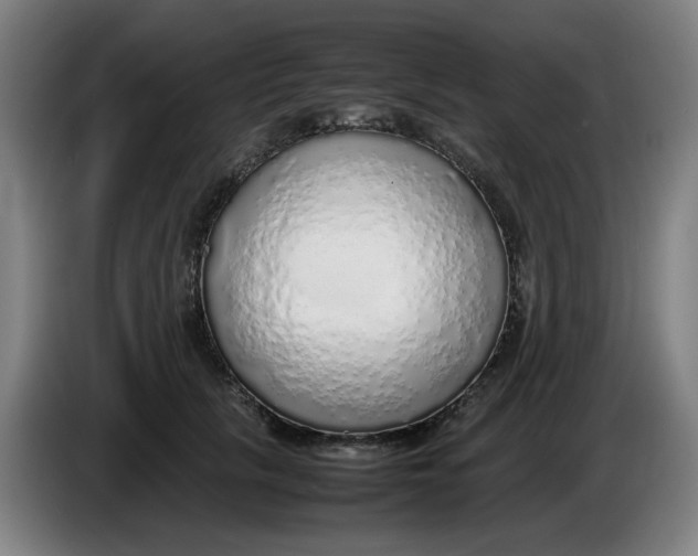 X0000086230657200704191801