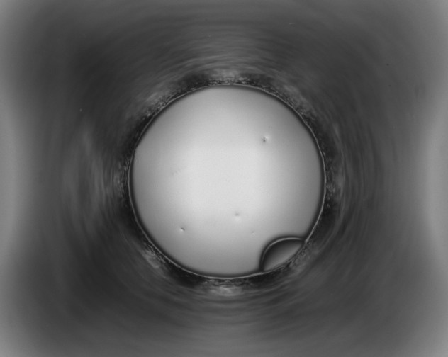 X0000086230658200704191801