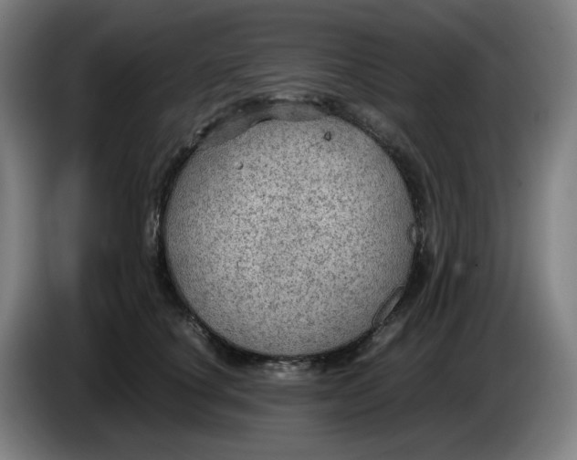 X0000086230660200704191801