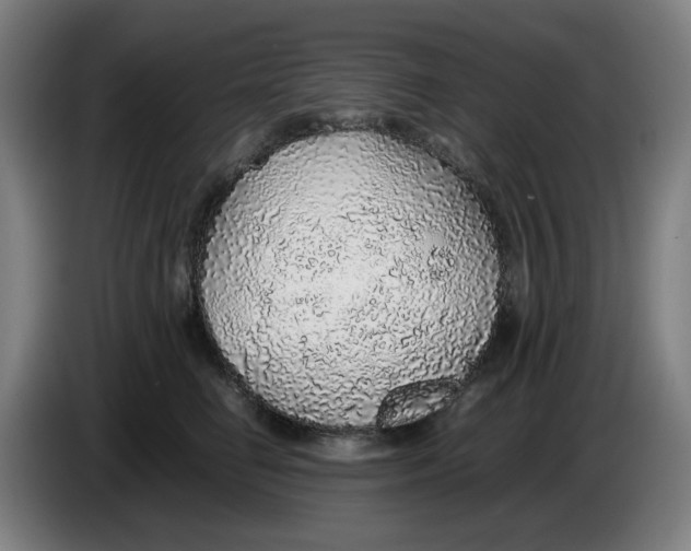 X0000086230662200704191801