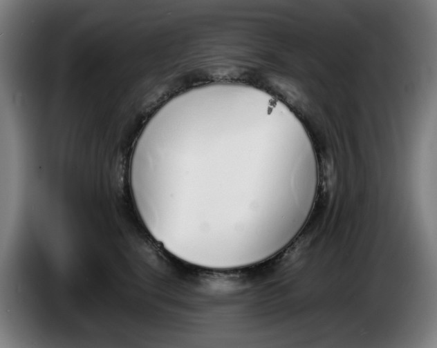 X0000086230664200704191801