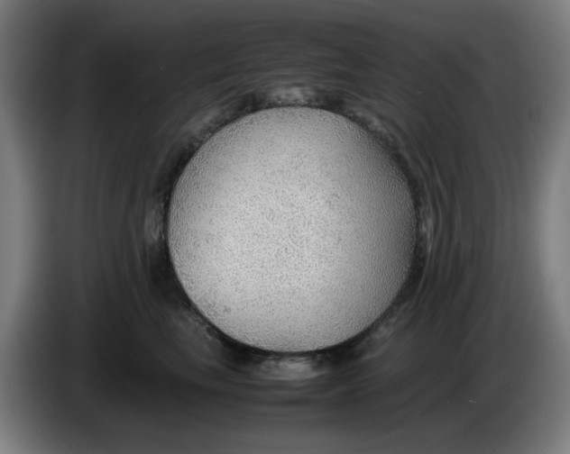 X0000086230665200704191801