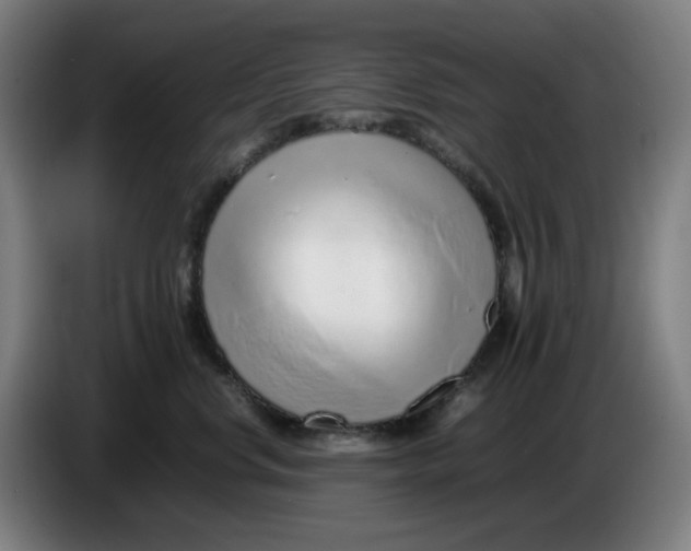 X0000086230668200704191801