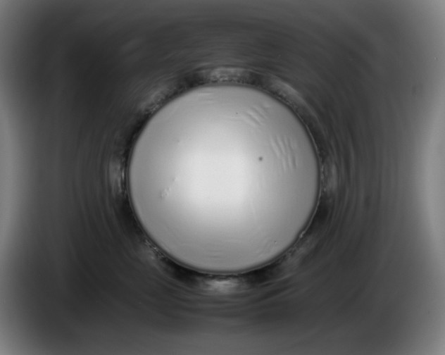 X0000086230669200704191801