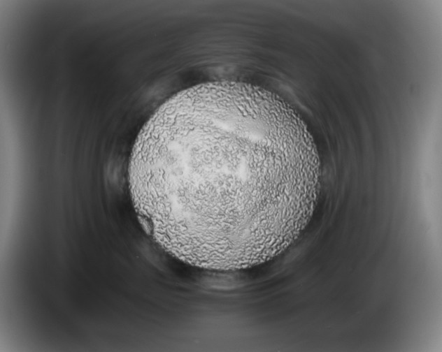 X0000086230671200704191801