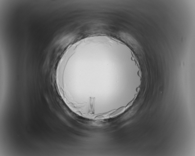 X0000086230672200704191801