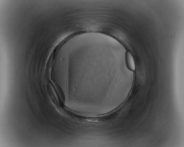 X0000086230674200704191800