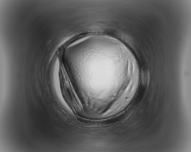 X0000086230675200704191800