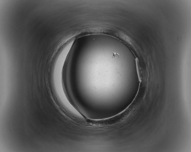 X0000086230677200704191800