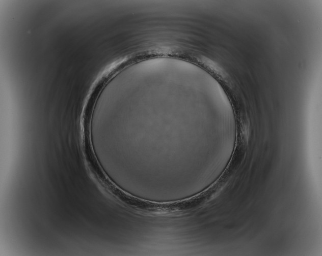 X0000086230678200704191800