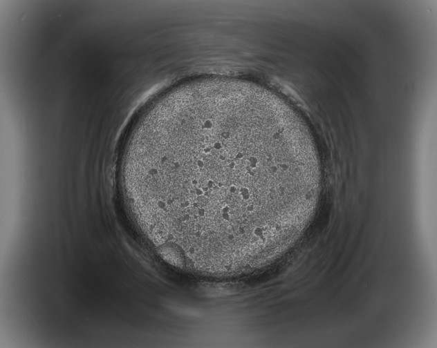 X0000086230679200704191800