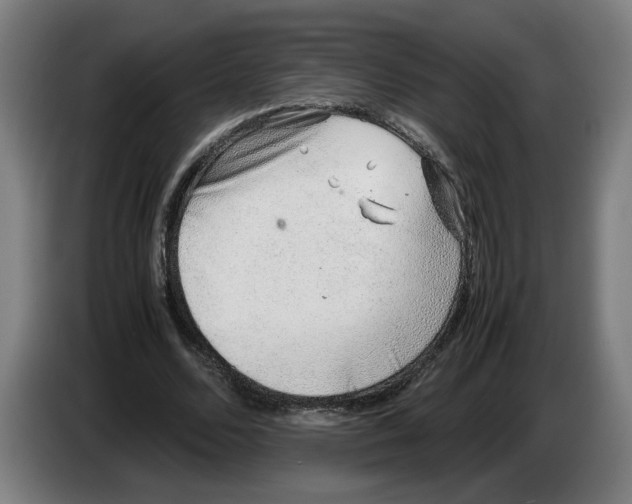 X0000086230680200704191800