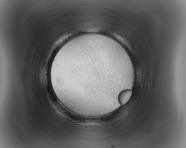 X0000086230682200704191800