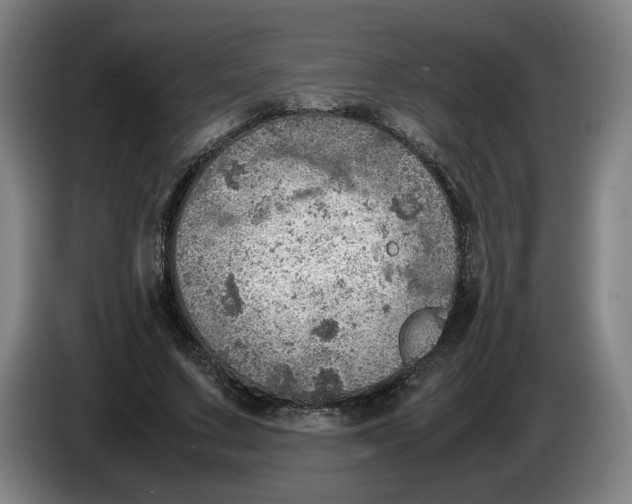 X0000086230683200704191800