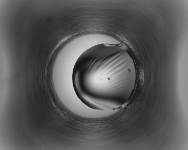 X0000086230684200704191800