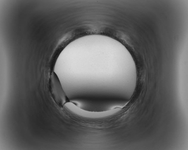 X0000086230685200704191800