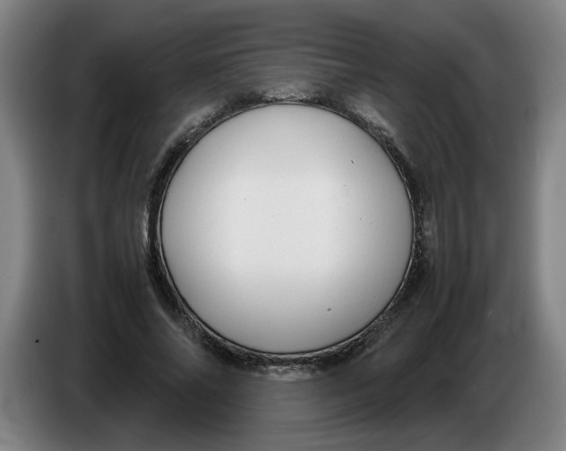 X0000086230686200704191800