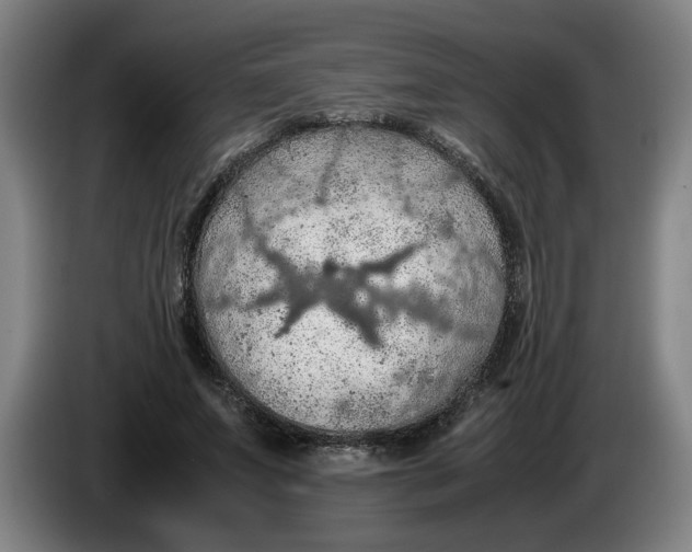 X0000086230687200704191800