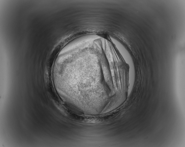 X0000086230688200704191800