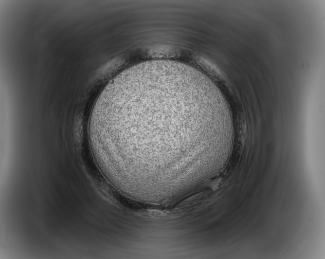 X0000086230690200704191800