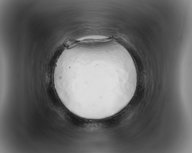 X0000086230691200704191800