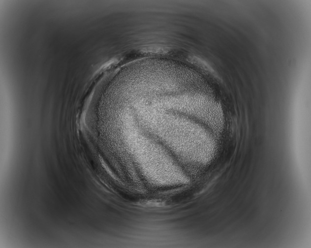 X0000086230692200704191800