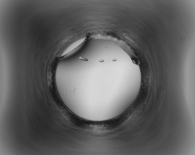 X0000086230693200704191800