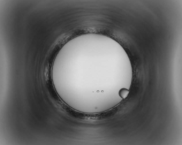 X0000086230694200704191800