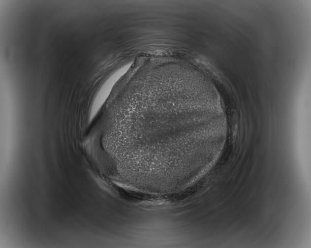 X0000086230696200704191800