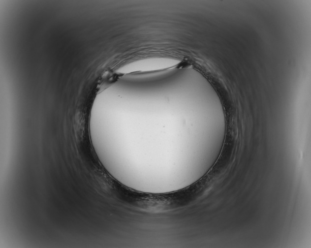 X0000086230697200704191800